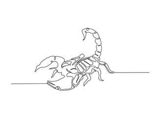 Continuous line art drawing of scorpion animal. Scorpio line art illustration. Editable stroke.