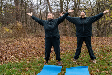 Women Stretching with Arms Raised in Park nature. Healthy sport for senior woman