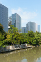 Fototapeta premium City skyline: modern towers, green lawn