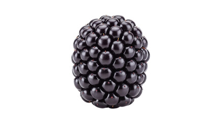 Closeup of a single ripe blackberry isolated on transparent background, showcasing its intricate texture and deep, dark color, perfect for illustrating freshness and natural sweetness
