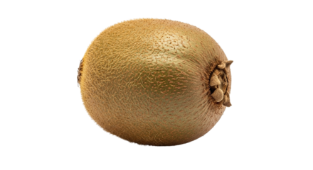 A single kiwi fruit isolated on transparent background, showcasing its fuzzy brown skin and oval shape, a healthy and delicious tropical fruit, perfect for a refreshing snack