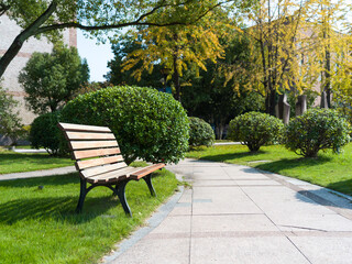 Park bench beside path, green bushes, sunny day
