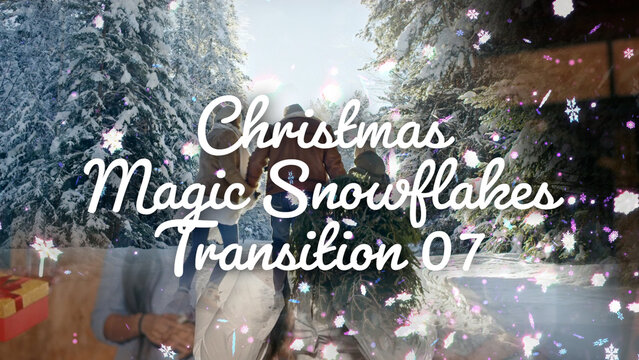 Christmas Magic Snowflakes Transition 07