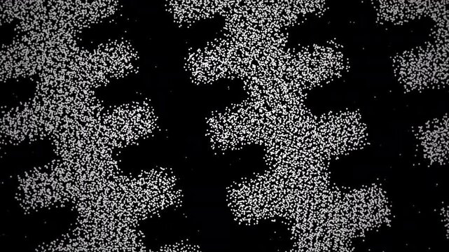 monochrome patterned fabric, detailed view of black and white textile weave