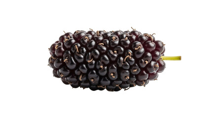 Closeup of a fresh ripe mulberry isolated on transparent background, showcasing its dark purple color, juicy texture, and natural sweetness, perfect for healthy eating and culinary use