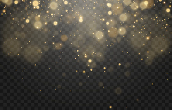 Vector bokeh lights effect isolated on transparent background. Soft blured bokeh and lights png