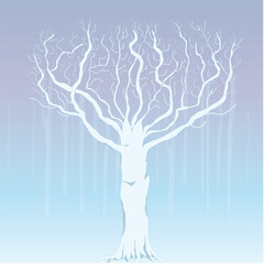 Large Birch Tree in a Birch Forest in Winter