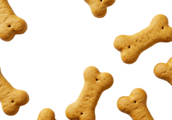 Several golden-brown bone-shaped dog biscuits, porous and textured, artfully scattered on a transparent background with copy space, top-down view. Concept for premium pet treats advertising