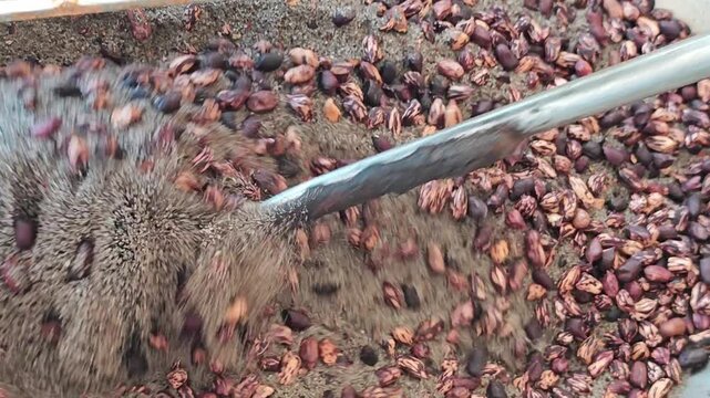 Roasted peanuts