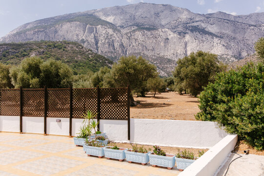 Plant in pots with a mountain in the background in Samos, Greece.