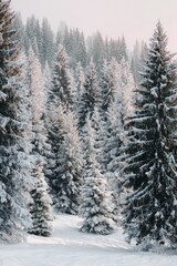 Fototapeta premium Beautiful Christmas Tree in a Snowy Winter Setting, Festive Holiday Background with Cozy Seasonal Atmosphere