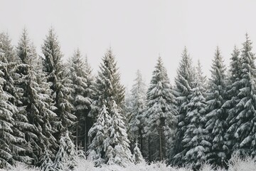Fototapeta premium Beautiful Christmas Tree in a Snowy Winter Setting, Festive Holiday Background with Cozy Seasonal Atmosphere