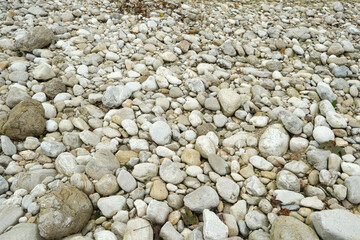 Natural River Stone Background and Texture