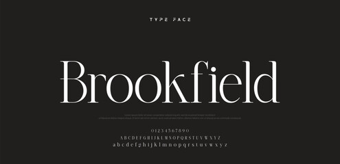 Elegant logo modern luxury alphabet font.  Typography elegant style alphabet fonts for beauty shop, decoration, business, boutique, fashion, brand, wedding, vintage design. vector illustration