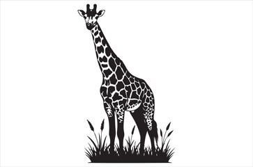 A striking black and white illustration of a giraffe in tall grass