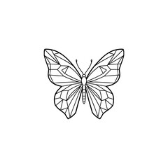 Butterfly outline drawing insect wing antennae symmetrical nature art graphic illustration sketch simple clean line art isolated on white background isolated on transparent background