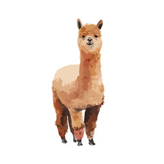 Obraz premium Cute Alpaca Illustration Standing Charming Farm Animal Vector Art.