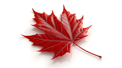 Vibrant red maple leaf casting a soft shadow, perfect for autumn designs, Canadian themes, or nature-inspired projects, symbol of fall beauty