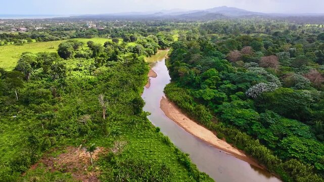 A calm, winding river cuts through a mangrove forest. Blue, clear, and transparent water among dense thickets of plants, a nature reserve in the Dominican Republic. Drone view of mangrove forests.