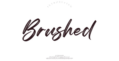 Best Alphabet Madison Street Calligraphy Signature Font lettering handwritten