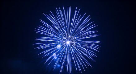 Fireworks Burst Blue Night Celebration Display Copy Space