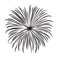 Fototapeta premium Fireworks silhouette, fireworks silhouette isolated on white background, celebratory explosion elements