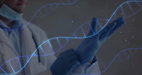 Donning doctor pulling on blue gloves in lab, with white coat, lowered surgical mask, DNA hologram