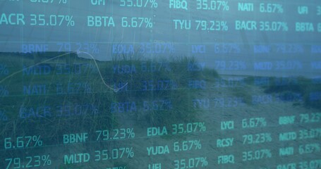 Naklejka premium Blending sand dune center with beach grass and path leading to shoreline, with stock ticker overlay