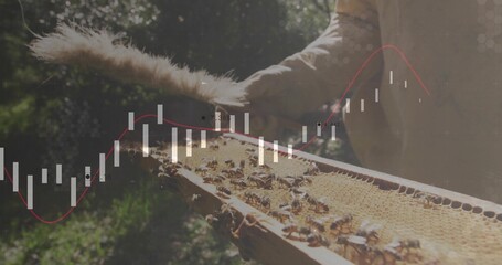 Brushing beekeeper in protective glove holding hive frame at apiary, moving bees with red trendline