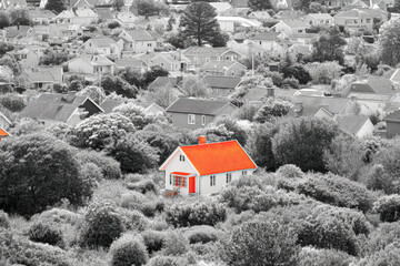 A striking red-roofed house stands out amidst a sea of monochrome homes and greenery, creating a vivid contrast in the landscape.