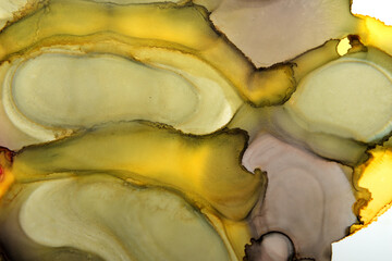 art background from colorful spots