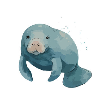 Cute Manatee Watercolor Illustration Gentle Sea Cow Vector Art.