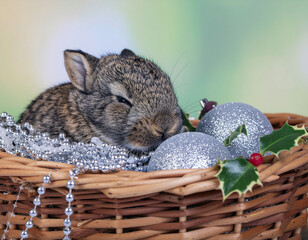 Rabbit nestled in a basket of ornaments with tinsel strands and holly. Ai
