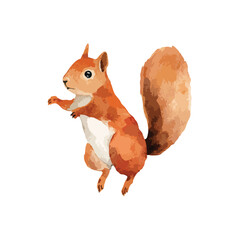 Cute Red Squirrel Watercolor Illustration.