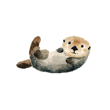 Cute Sea Otter Illustration Lying on Back Adorable Watercolor Animal Art.