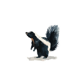 Cute Skunk Illustration Standing Up Isolated Wild Animal.