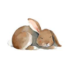 Cute Sleeping Bunny Watercolor Illustration.
