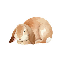 Cute Sleeping LopEared Rabbit Watercolor Illustration.