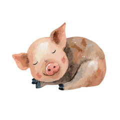 Cute Sleeping Piglet Watercolor Illustration.