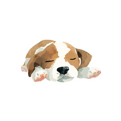 Cute Sleeping Puppy Watercolor Illustration Adorable Pet Art.