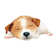 Cute Sleeping Puppy Watercolor Illustration.