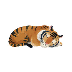 Cute Sleeping Tiger Illustration Vector Graphic.