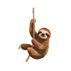 Cute Sloth Hanging on Branch Illustration.
