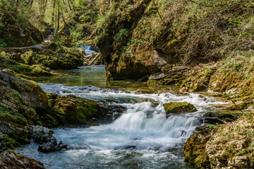 Mountain stream flowing through Vintgar Gorge in Slovenia