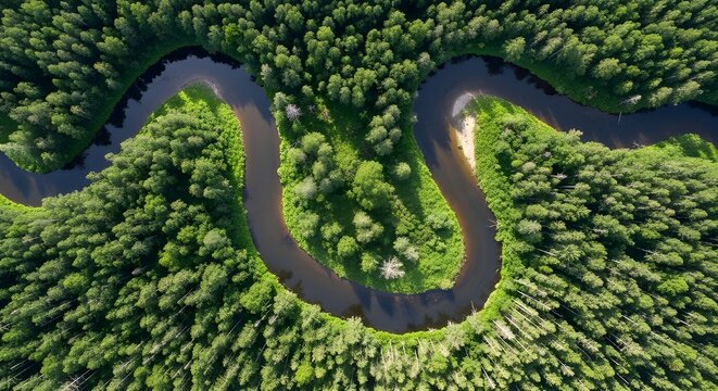 Aerial Drone View of Winding River Through Forest