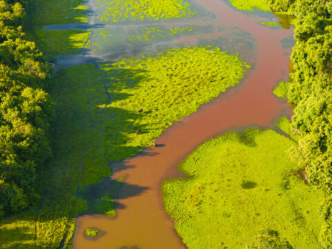 Aerial view of the winding river snaking through the vibrant green wetlands and dense forests of Reserva Natural El Encanto de Guanapalo, San Luis de Palenque, Casanare, Colombia.