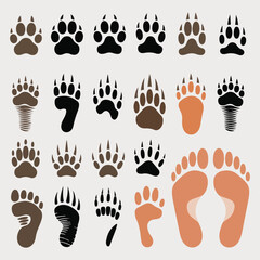 Fototapeta premium Collection of diverse animal paw prints and foot tracks, a vector illustration set showcasing various wild and domestic animal footprints