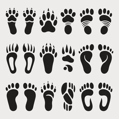 Collection of diverse animal paw prints and foot tracks, a vector illustration set showcasing various wild and domestic animal footprints
