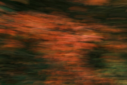 A blurry image of leaves and branches with a greenish tint