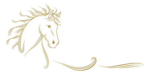 chinese horse vector line art illustration